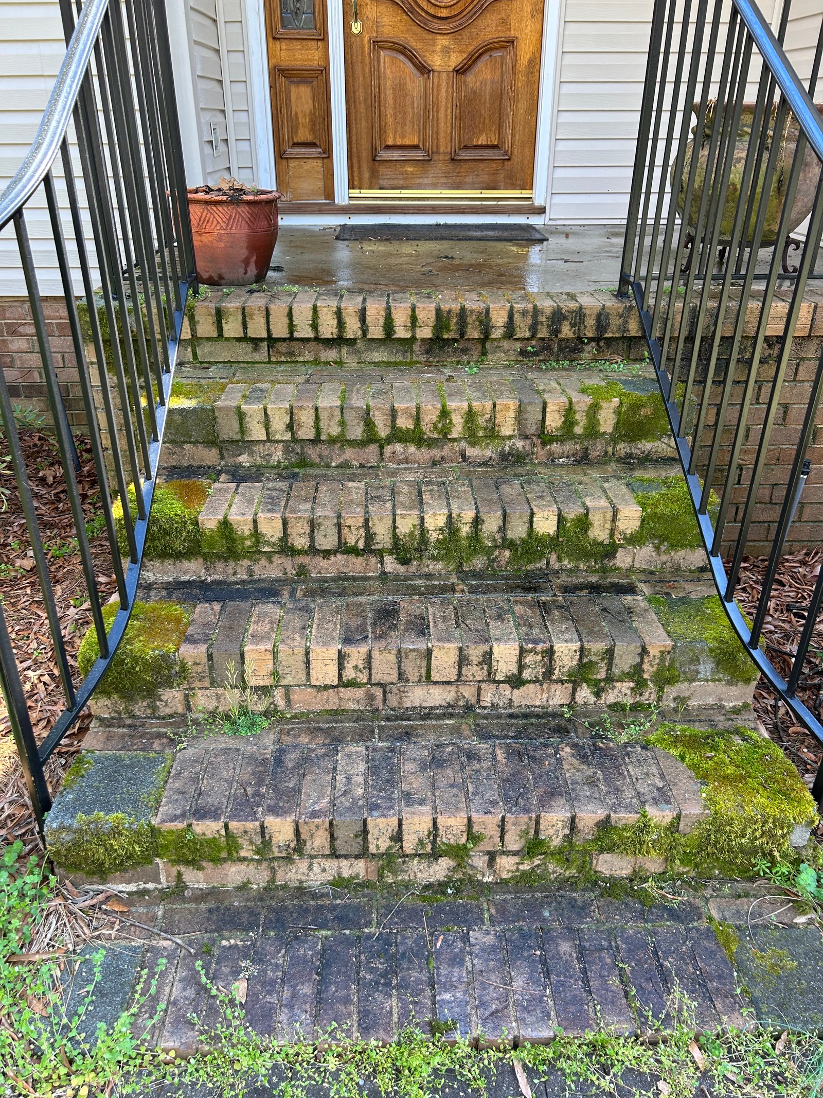 Before — brick steps with moss and grime