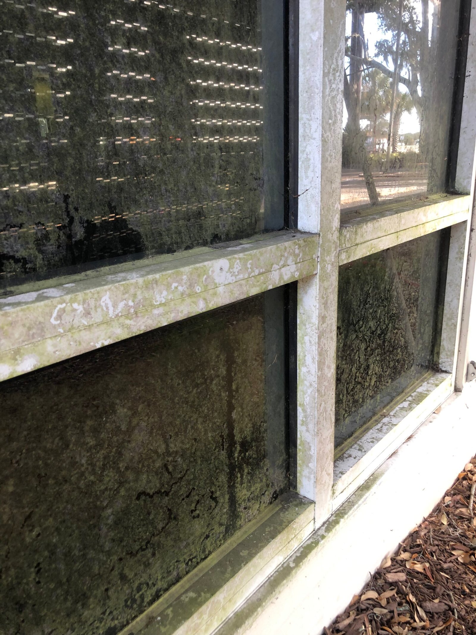 Before - Bank Entry Walk