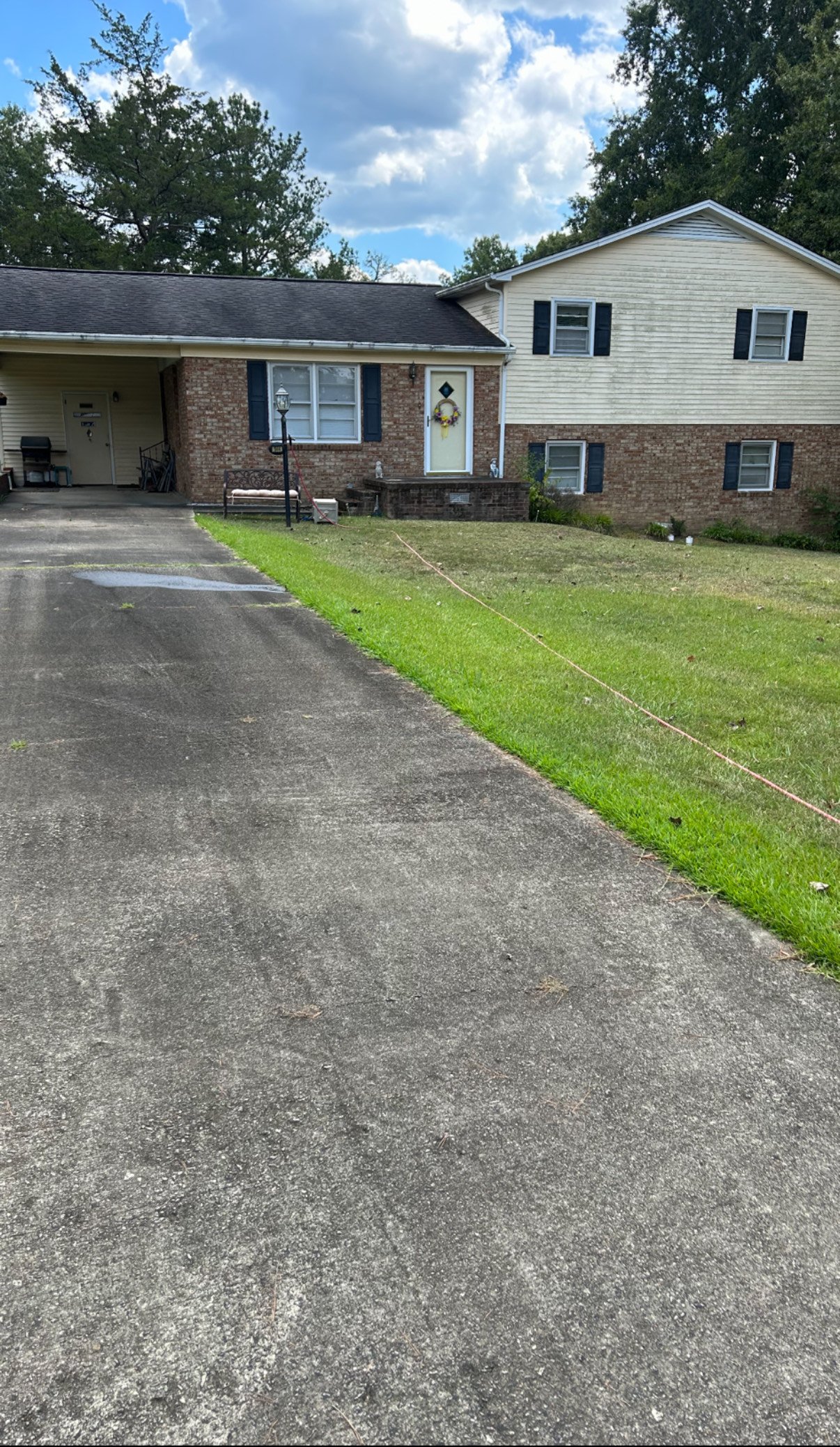 Roof before cleaning