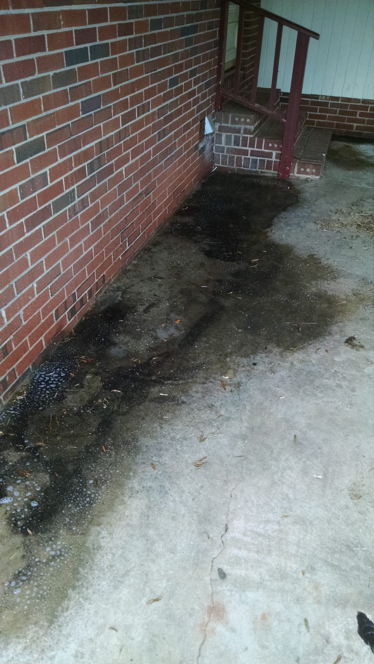 Patio before cleaning