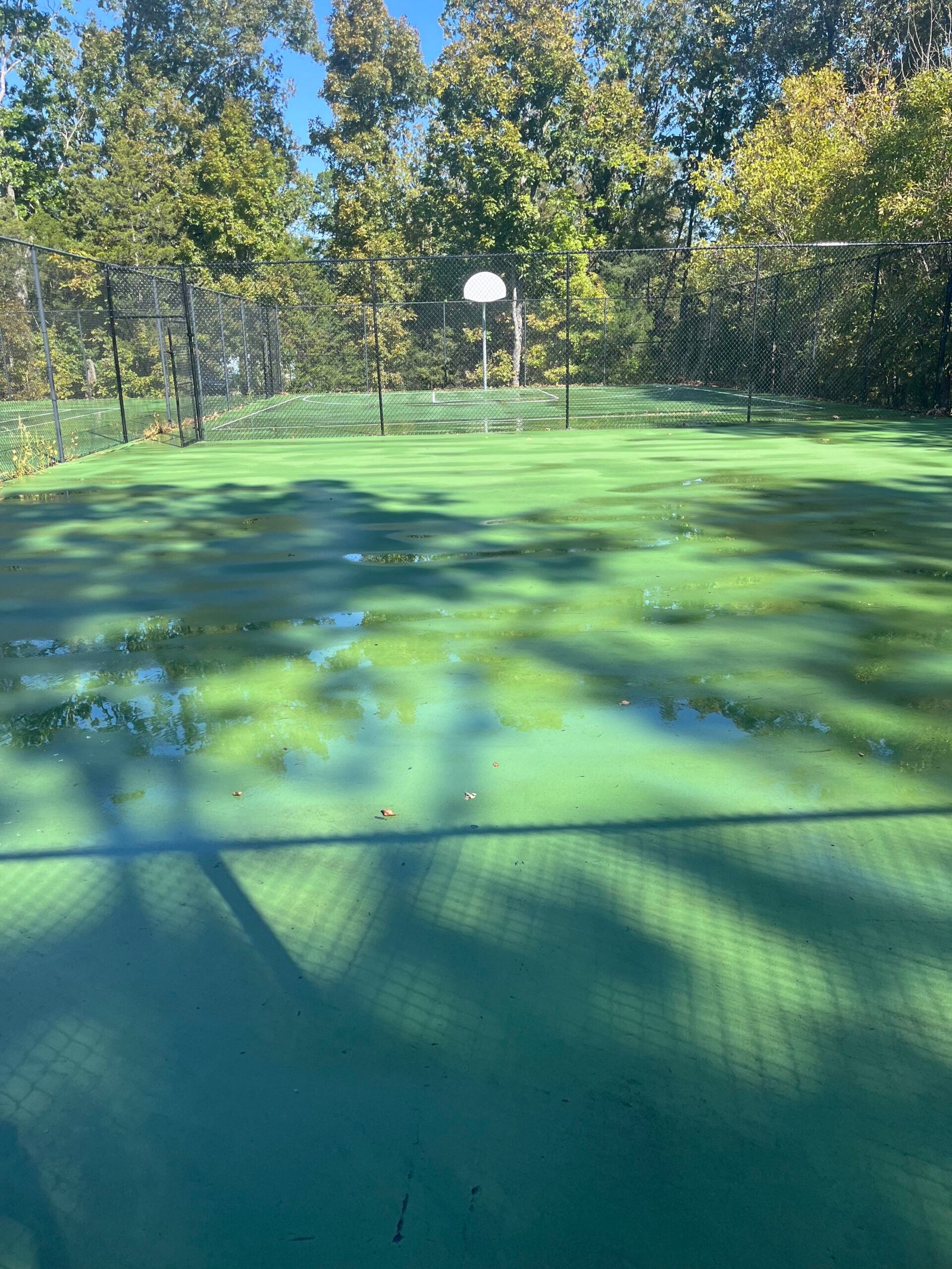 After - Dumpster Enclosure