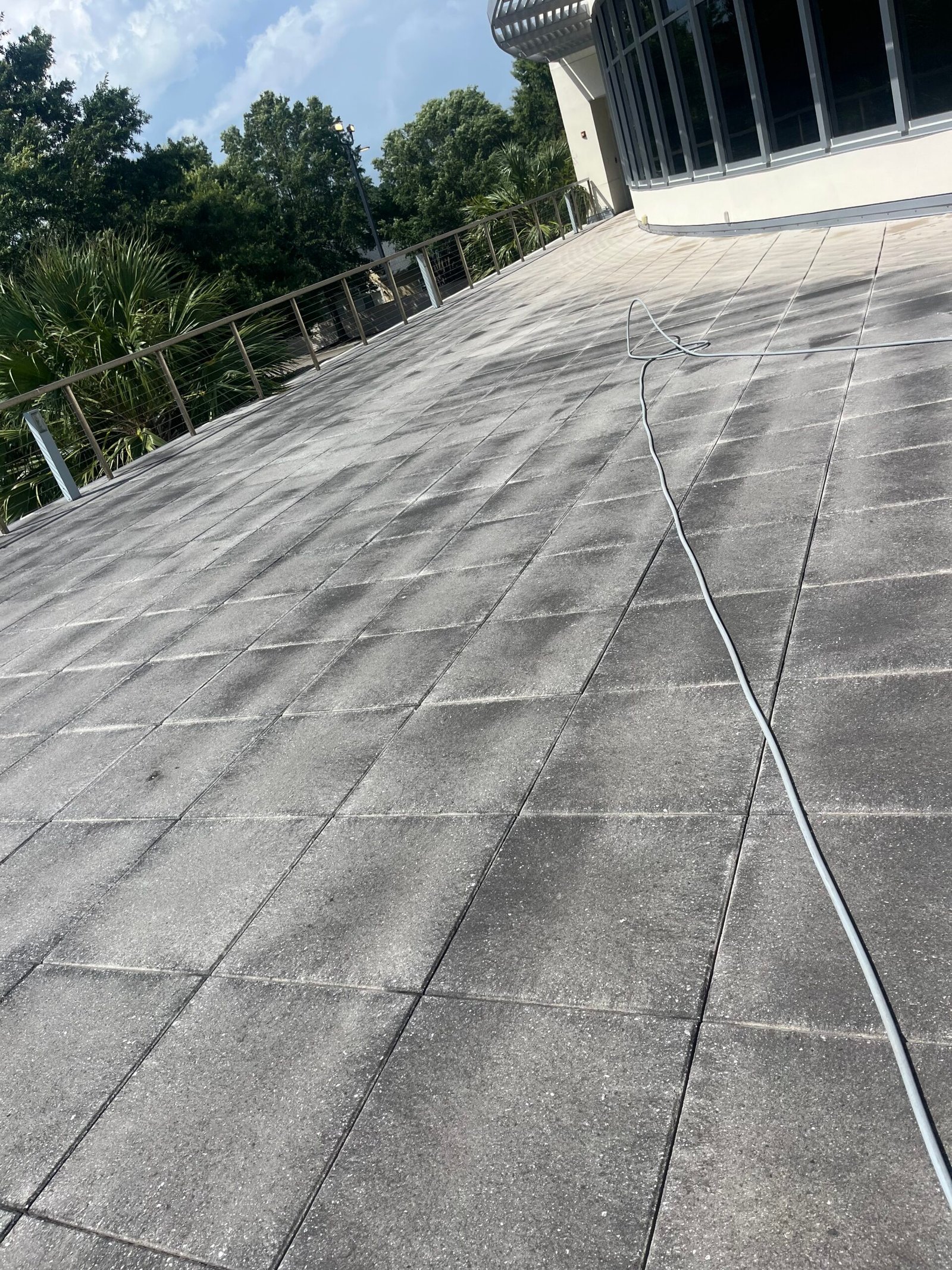 Fence before cleaning