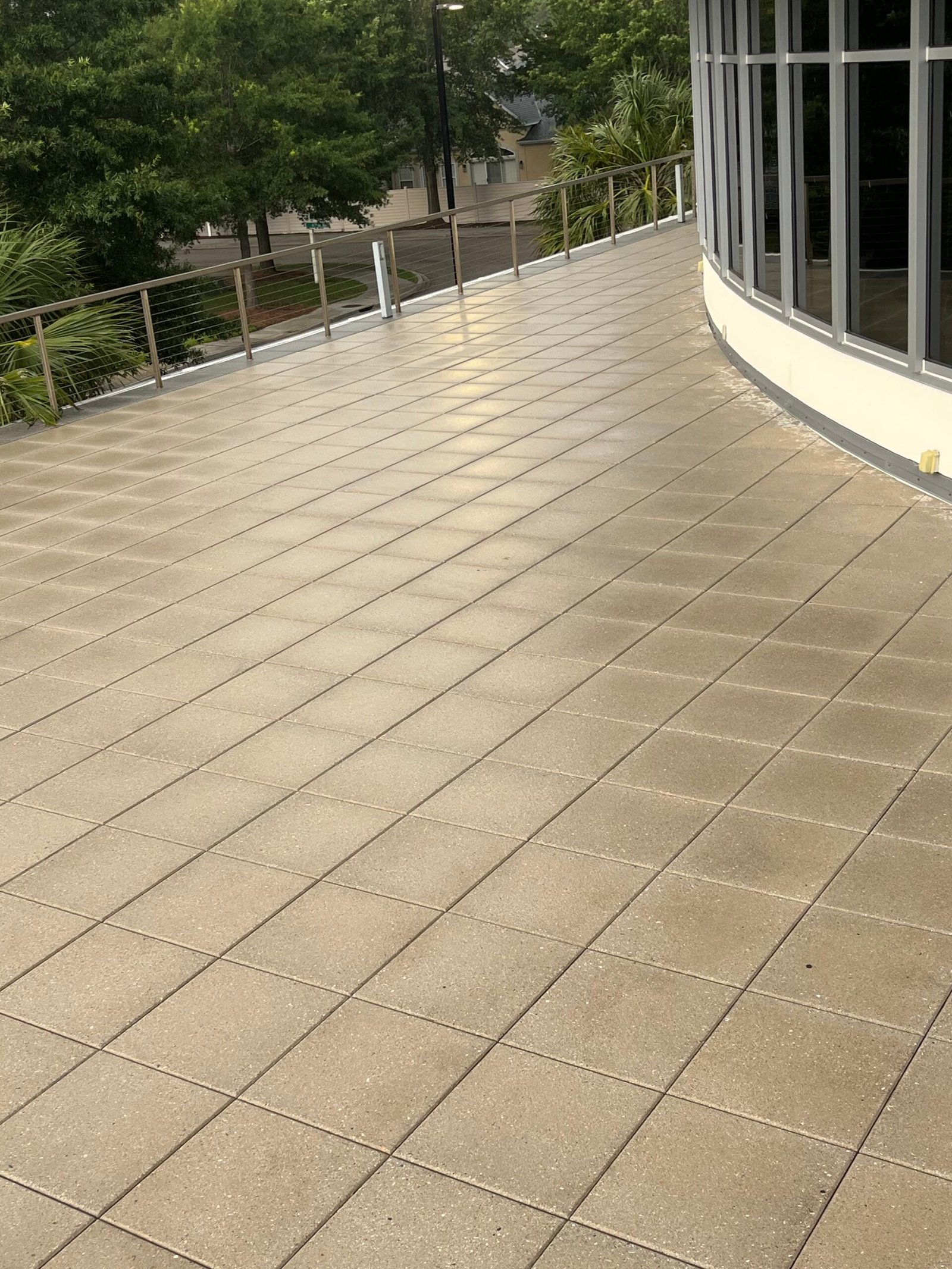 Fence after cleaning