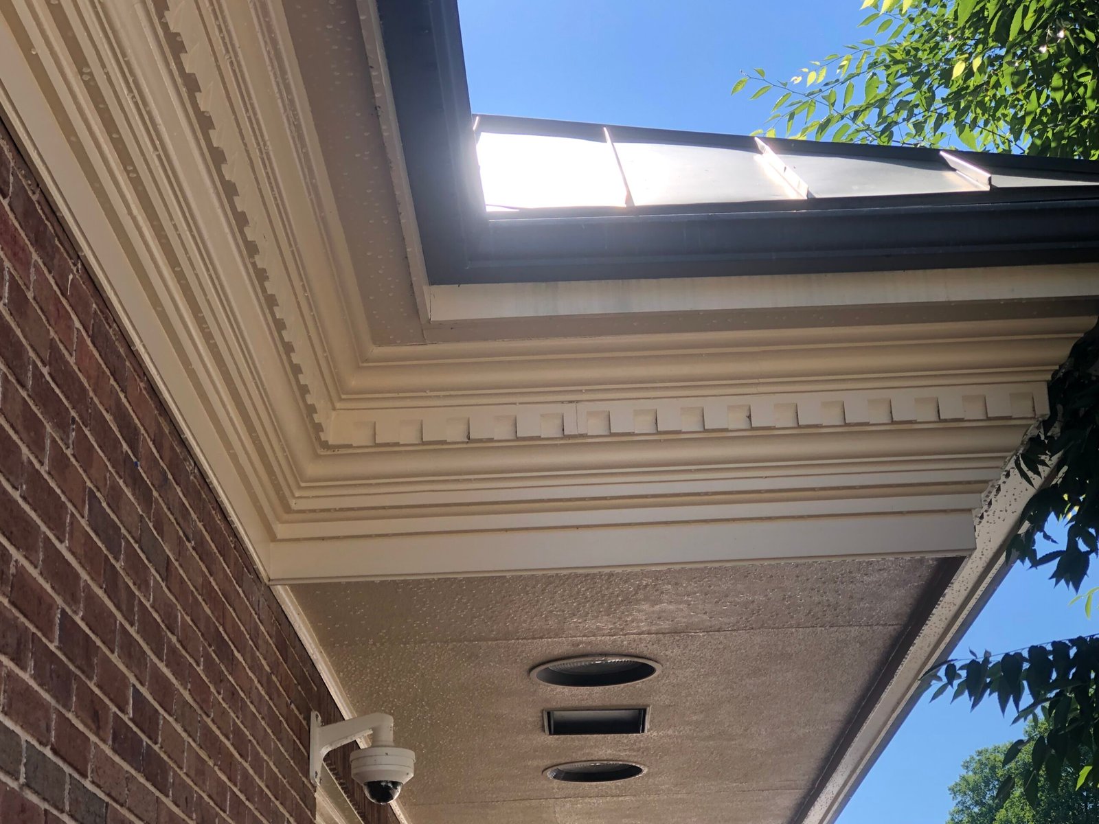 Roof after soft wash