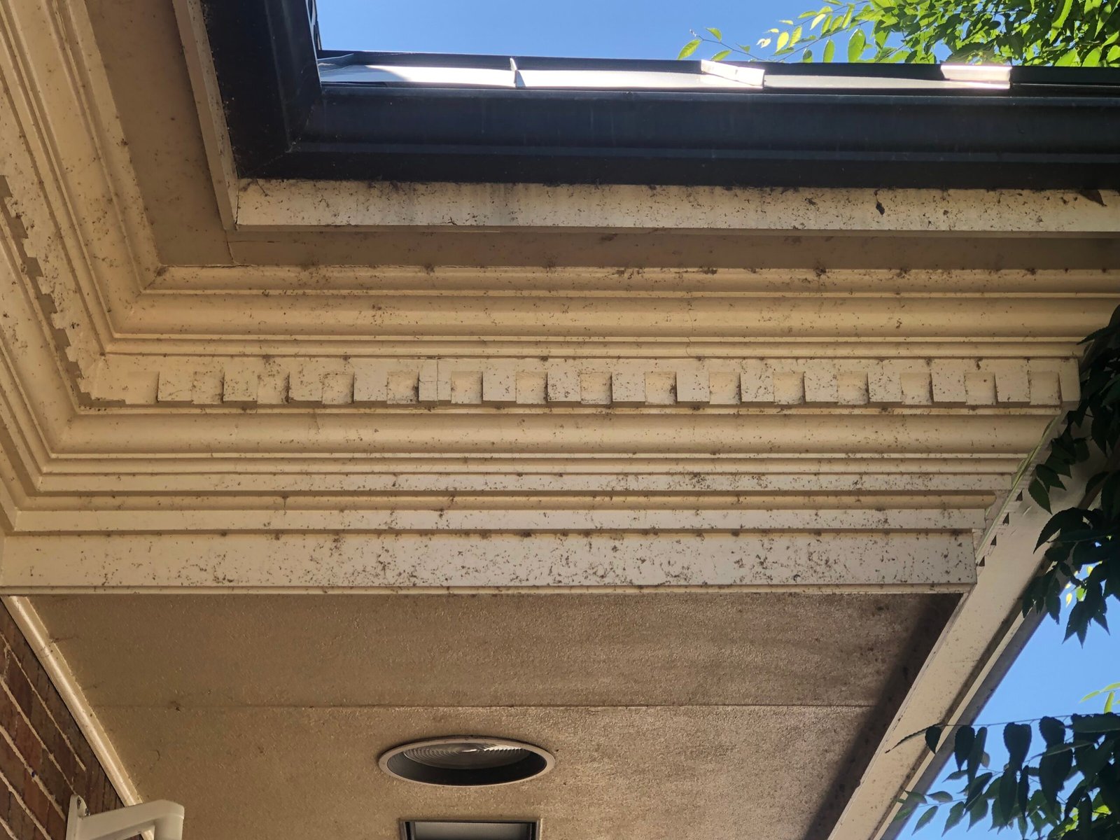 Roof before soft wash