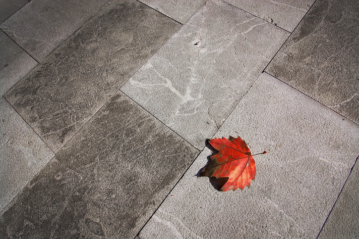 4 Steps to Remove Leaf Stains from Concrete Walkways | Pressure Pros
